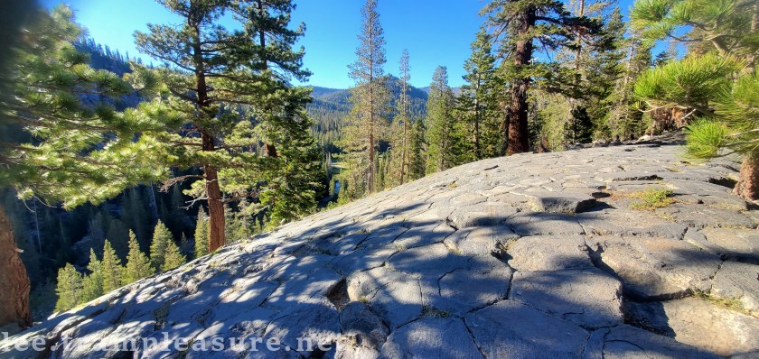 photo of tops of hexagonile posts