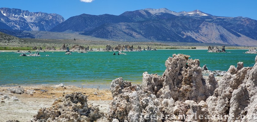 photo of tufas in Mono Lake