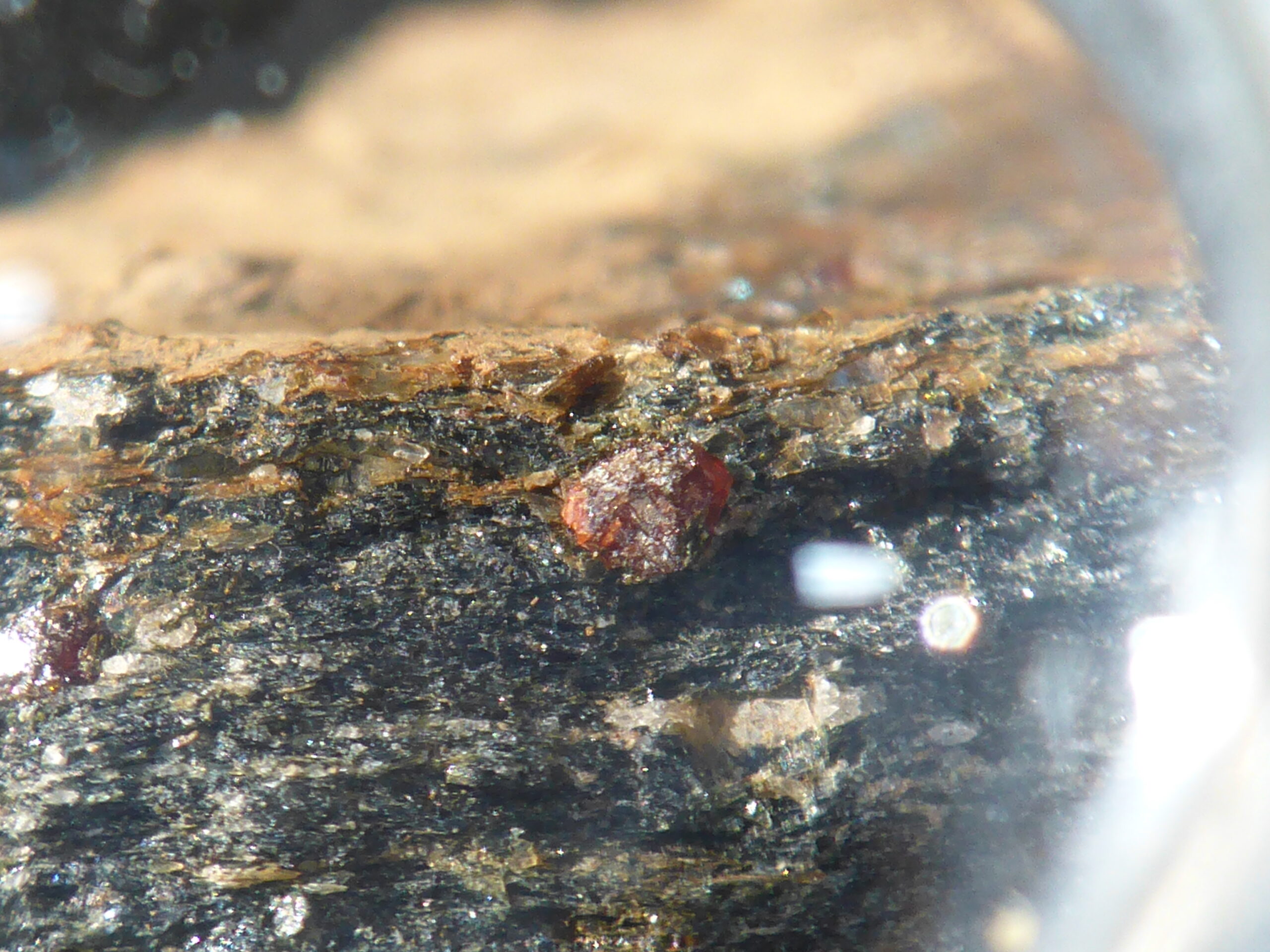 Photo of a garnet embedded in a rock.