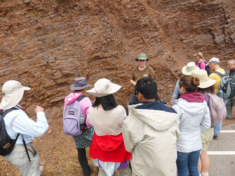 group of people looking at red layered rocks along the side of a road