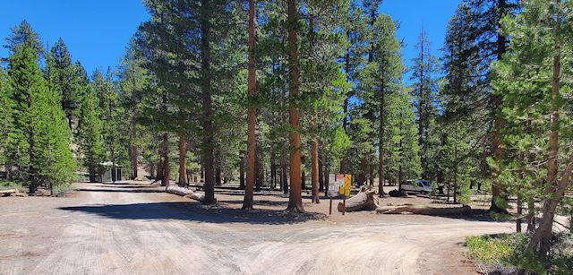 Photo showing a gravel round in a grove of trees.