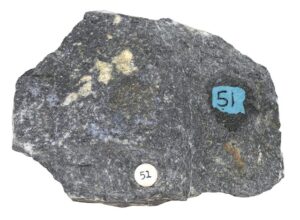photo of rock, mostly gray and grainy. Has a few yellow spots, and two locations labeled "51".